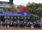 <br><a target="blank" href="http://photos.bloodhorse.com/BreedersCup/2015-Breeders-Cup/Breeders-Cup-Classic/i-94n4xbs">Order This Photo</a>
