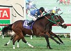 Stormy Lucy wins the Matriarch Stakes.
