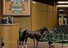 Harbor Mist was purchased for $410,000 to pace the early portion of the third session at the Keeneland November breeding stock sale.