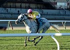 Mr Maybe rolls to victory in the Red Smith Handicap.<br><a target="blank" href="http://photos.bloodhorse.com/AtTheRaces-1/At-the-Races-2015/i-kLxB3QD">Order This Photo</a>