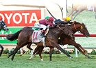 Chiropractor Closes for Hollywood Derby Upset Chiropractor Closes for Hollywood Derby Upset