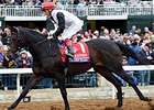 Golden Horn<br><a target="blank" href="http://photos.bloodhorse.com/BreedersCup/2015-Breeders-Cup/Longines-Breeders-Cup-Turf/i-n5rVgkp">Order This Photo</a>