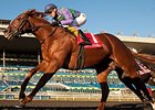 Amis Gizmo, Sparkles' Girl Win at Woodbine Amis Gizmo, Sparkles' Girl Win at Woodbine