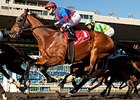 Are You Kidding Me, winning last year's Autumn Stakes at Woodbine, wrapping up his championship season