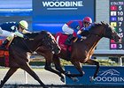 Are You Kidding Me Rides Rail to Autumn Win Are You Kidding Me Rides Rail to Autumn Win