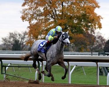 Matthew Schera's Race Day moved between horses leaving the second turn and continued his momentum to win the Hagyard Fayette Stakes (gr. II) in track-record time on the Breeders' Cup card at Keeneland.