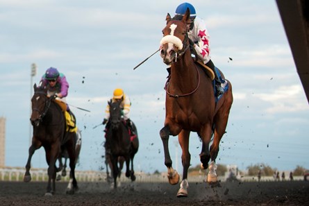 Jesse Campbell guides Caren to victory in the $250,000 Princess Elizabeth Stakes at Woodbine Racetrack.