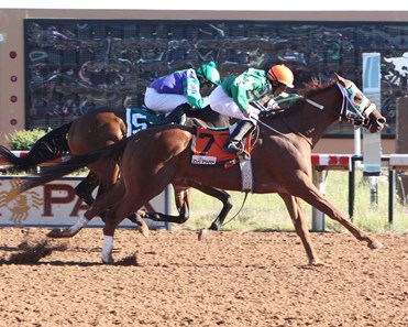 Golly Gee holds off Lonnie Ton to take the NM Classic Cup Derby Championship at Zia Park.