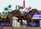 Nyquist, Mor Spirit Drill for 2016 Debuts Nyquist, Mor Spirit Drill for 2016 Debuts