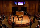 Shadai Goes to $2.7M for Sweet Reason at F-T Shadai Goes to $2.7M for Sweet Reason at F-T