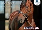 Slideshow: New Stallions of 2016 Slideshow: New Stallions of 2016