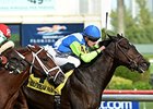 Solemn Tribute and Julien Leparoux take the Tropical Park Derby.<br><a target="blank" href="http://photos.bloodhorse.com/AtTheRaces-1/At-the-Races-2015/i-JJ2zvM2">Order This Photo</a>