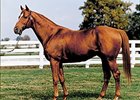 Affirmed