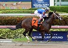 FL Derby Preps Anchor Jan. 2 Gulfstream Card FL Derby Preps Anchor Jan. 2 Gulfstream Card