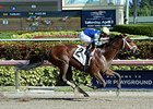 Itsaknockout returned a winner in an allowance/optional claiming event Dec. 31 at Gulfstream Park.<br><a target="blank" href="http://photos.bloodhorse.com/AtTheRaces-1/At-the-Races-2015/i-SbJB7Wq">Order This Photo</a>