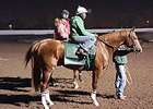 California Chrome Continues Los Al Progress California Chrome Continues Los Al Progress