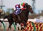 Sambista wins the Japan Champions Cup.
<br><a target="blank" href="http://photos.bloodhorse.com/AtTheRaces-1/At-the-Races-2015/i-sDwntn6">Order This Photo</a>