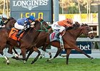 Gender Agenda defeated Stormy Lucy by a neck in the Robert J. Frankel Stakes.