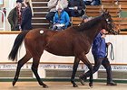 Stakes Winner Toujours L'Amour sold for 190,000 guineas ($300,371).