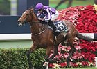 Highland Reel<br><a target="blank" href="http://photos.bloodhorse.com/AtTheRaces-1/At-the-Races-2015/i-Dg75vq5">Order This Photo</a>