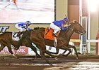 Discreetness Battles to Springboard Mile Win Discreetness Battles to Springboard Mile Win