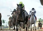 Valid<br><a target="blank" href="http://photos.bloodhorse.com/AtTheRaces-1/At-the-Races-2015/i-zzBghFb">Order This Photo</a>