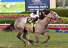 Goldy Espony wins the La Prevoyante Stakes.
<br><a target="blank" href="
http://photos.bloodhorse.com/AtTheRaces-1/At-the-Races-2015/i-t5tj3Lx">Order This Photo</a>
