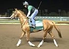 California Chrome Work December 19, 2015 California Chrome Work December 19, 2015