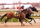 Ravenheart, inside, wins the Maryland Juvenile Futurity.