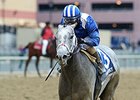 Mohaymen will make his sophomore debut in the Holy Bull Stakes.
<br><a target="blank" href="http://photos.bloodhorse.com/AtTheRaces-1/At-the-Races-2015/i-FGfWXPV">Order This Photo</a>