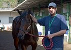 'Mexican Pharoah' Targets Clasico del Caribe 'Mexican Pharoah' Targets Clasico del Caribe