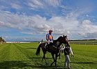 Keeneland Extends Phoenix S. Sponsorship Keeneland Extends Phoenix S. Sponsorship