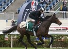 Flintshire, last year's winner, tops the list of 13 in for the Longines Hong Kong Vase.