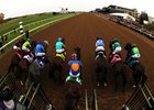 Purses Increased for 2016 BC Classic, Turf Purses Increased for 2016 BC Classic, Turf