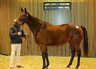 Embellishment, an unraced Galileo -- Sophisticat mare in foal to Kingman, brought €900,000.
