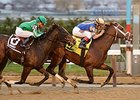 Sudden Surprise wins the New York Stallion Series Dec. 27.
<br><a target="blank" href="http://photos.bloodhorse.com/AtTheRaces-1/At-the-Races-2015/i-Z8DWMvr">Order This Photo</a>