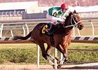 Cathryn Sophia won the Gin Talking Stakes at Laurel Park by 16 1/4 lengths Dec. 5.