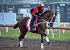 Registro won two legs of Puerto Rico's Triple Crown this year.