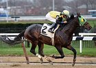 Green Gratto wins Gravesend Stakes