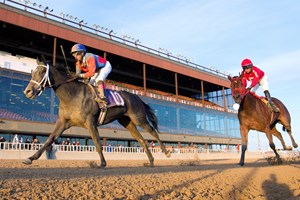 Silver Lode overpowers the rest of the field in the Pat Whitworth Illinois Debutante at Hawthorne Racecourse.