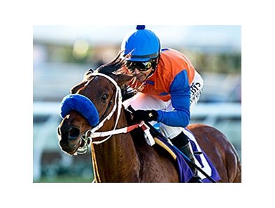Dressed in Hermes will look for his second straight graded stakes score in the Sham Stakes.