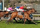 Toowindytohaulrox wins the Daytona Stakes.