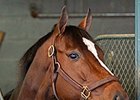 Untapable