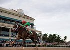 Mexikoma won last year's Sunshine Millions Classic, which will see its purse cut in 2017.