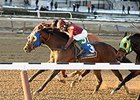 Sassicaia gets his head in front to win the Toboggan Stakes.<br><a target="blank" href="http://photos.bloodhorse.com/AtTheRaces-1/At-the-Races-2016/i-LDdtCv6">Order This Photo</a>