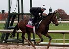 Chad Brown has Pricedtoperfection in the Sweetest Chant.<br><a target="blank" href="http://photos.bloodhorse.com/BreedersCup/2015-Breeders-Cup/Works/i-rN8w5K2">Order This Photo</a>