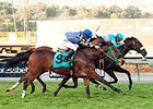 Keri Belle wins the Megahertz Stakes.