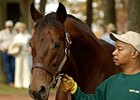 Lemon Drop Kid is emerging as a top broodmare sire.