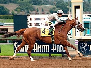 California Chrome Powerful in Winning Return California Chrome Powerful in Winning Return