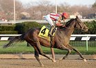 Flexibility comes home strong to win the Jerome Stakes.<br><a target="blank" href="http://photos.bloodhorse.com/AtTheRaces-1/At-the-Races-2016/i-GBbQFCC">Order This Photo</a>